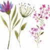 Broderie "Fleurs des champs" : fichier .pes pour machine à broder – Image 2